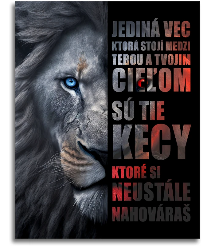 Motivační lev - Kecy