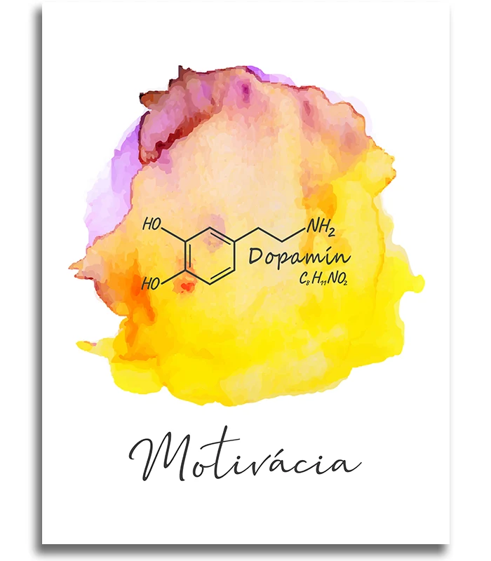 Dopamin - Motivace